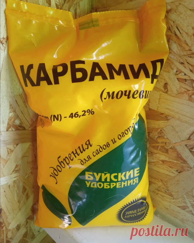 Мочевина как фунгицид и пестицид | Цветочная няша | Дзен