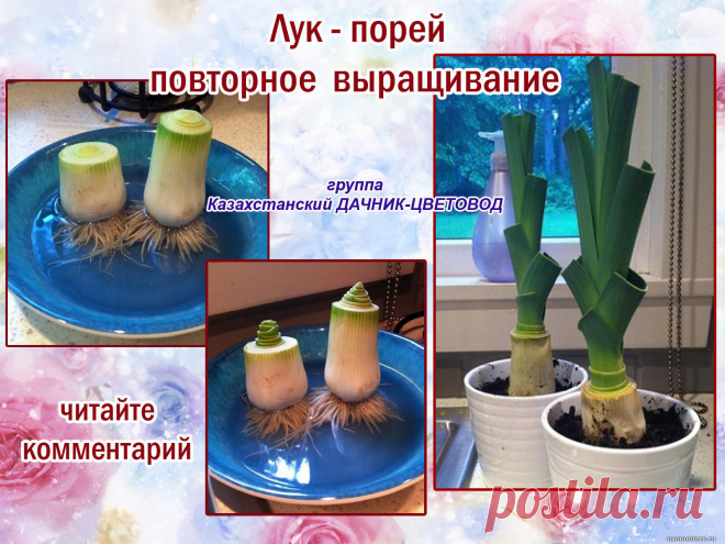 (54) Одноклассники