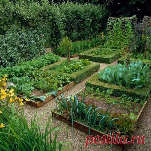 Проверенные схемы посадки, которые позволяют получить с одной грядки аж 4 урожая!