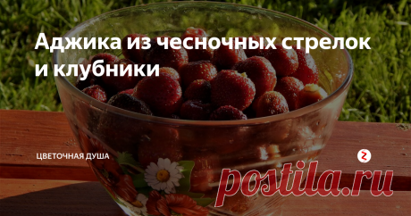 Аджика из чесночных стрелок и клубники Рецепт необычной аджики из чесночных стрелок, зелени и клубники.