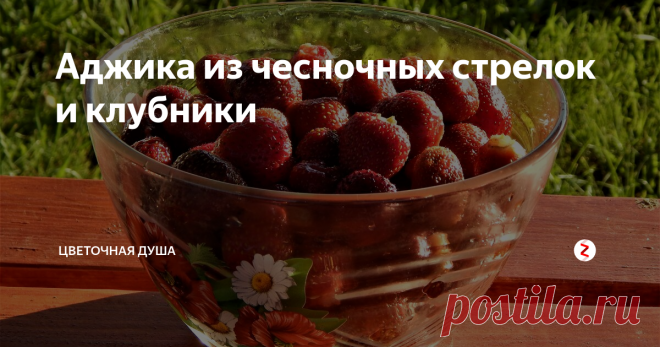 Аджика из чесночных стрелок и клубники Рецепт необычной аджики из чесночных стрелок, зелени и клубники.