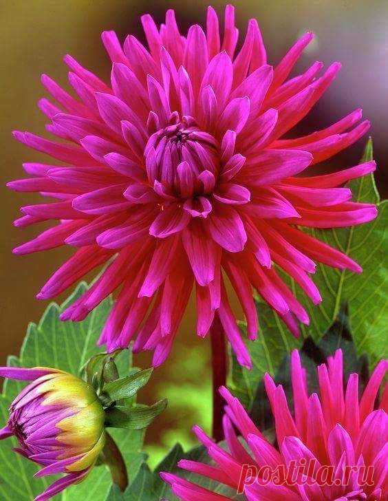 image (564×728)