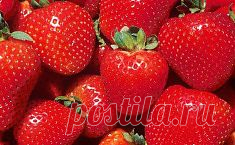 Секреты земляничной грядки. Сохраните любой пост с сайта 7dach.ru в Постиле и выиграйте призы от интернет-магазина Клуб Красоты. Чем больше постов - тем выше шансы. Розыгрыш состоится в понедельник, 30 января. В акции участвуют все посты, которые содержат этот текст или фото призов!