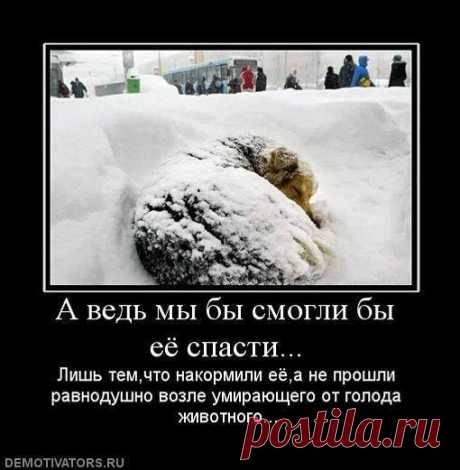 Ирина Малий