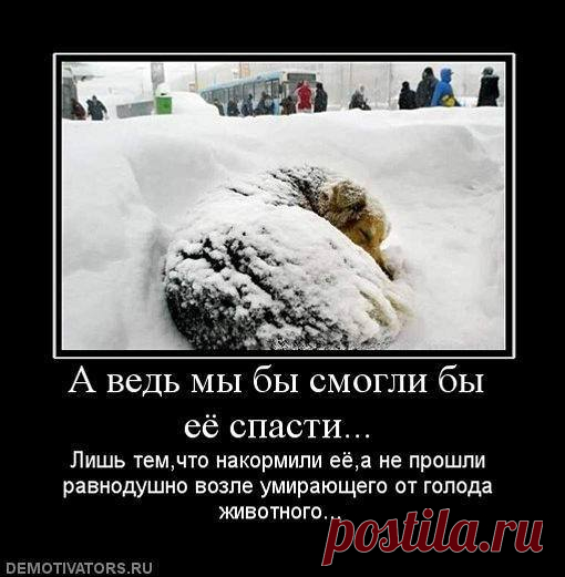 Ирина Малий