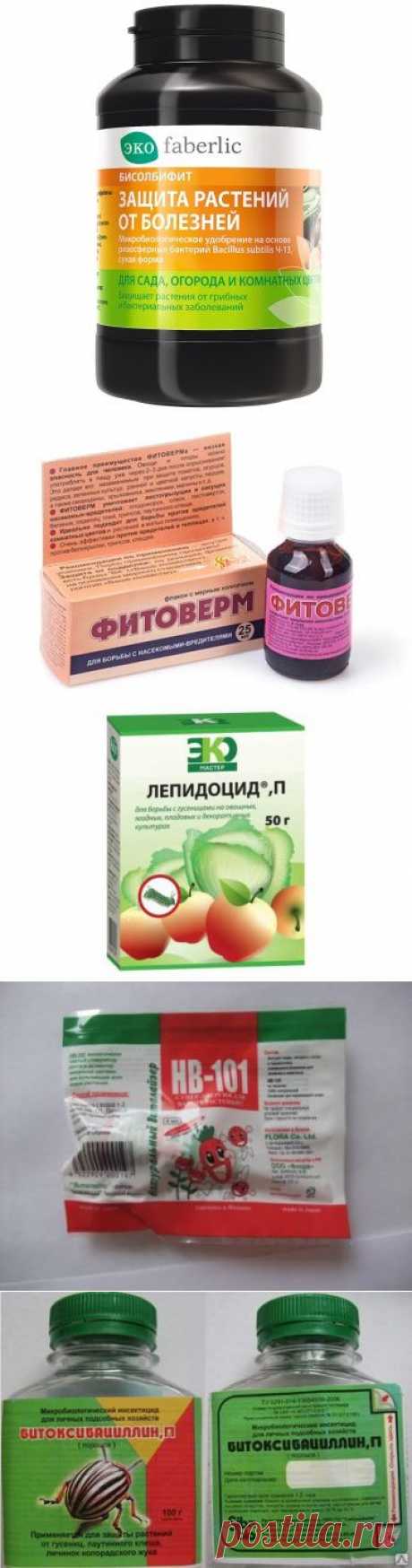 Биопрепараты - альтернатива вредной садовой &quot;химии&quot; | Огород без хлопот