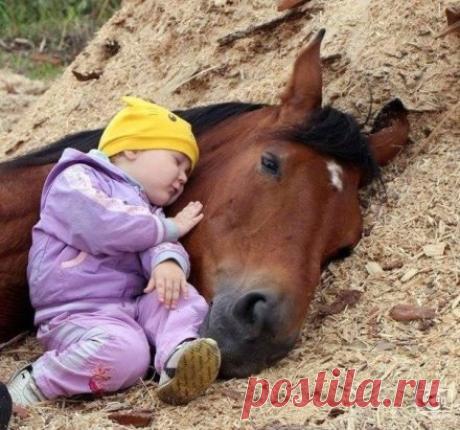 Доброта