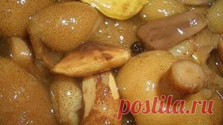 Вкусные МАРИНОВАННЫЕ на зиму МАСЛЯТА от бабушки