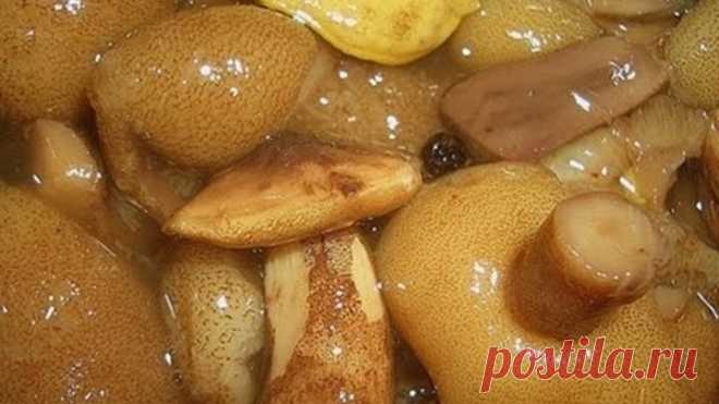 Вкусные МАРИНОВАННЫЕ на зиму МАСЛЯТА от бабушки