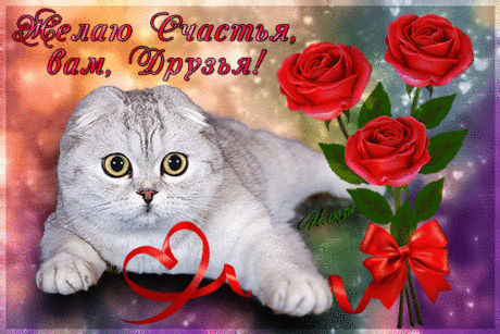 23dss9n5fho0bsun0a1d6u33h59929dl.gif (600×400)