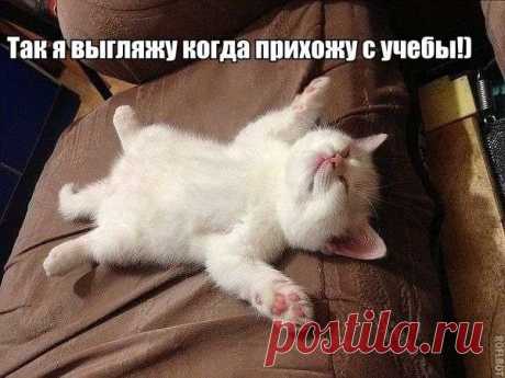 Мой Мир@Mail.Ru
