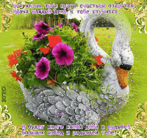 Лебедь с цветами - анимационные открытки и картинки Лебедь с цветами - С поздравлениями анимационные блестящие картинки и открытки для поздравления