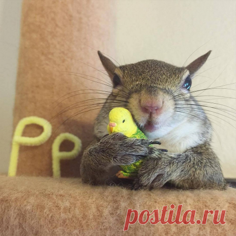 Фотографии, которые говорят больше чем слова!