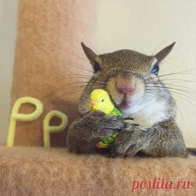 Фотографии, которые говорят больше чем слова!