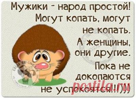 - Мужчина - как дорогое платье: вроде б и смотрится хорошо и сидит по мне...
Как завязать морской узел?1. Сворачиваешь аккуратненько наушники.2. Кладёшь в карман.3. Достаёшь - морской узел готов!
- А как ты со своим познакомилась?- О, очень романтично! Он говорит: "Меня Коля…