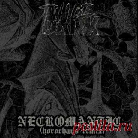 Twice Dark - Necromantic (Hororhaus Remix) (2025) [Single] Artist: Twice Dark Album: Necromantic (Hororhaus Remix) Year: 2025 Country: USA Style: Darkwave, Gothic Rock, Coldwave