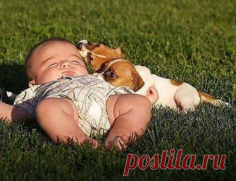 - Чем занимаешься ? - Занимаюсь общественно полезным трудом. - Каким? - Лежу и никому не мешаю ....