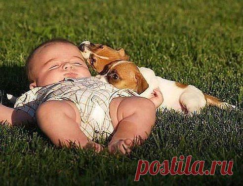 - Чем занимаешься ? - Занимаюсь общественно полезным трудом. - Каким? - Лежу и никому не мешаю ....