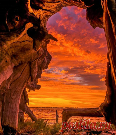 Nice picture