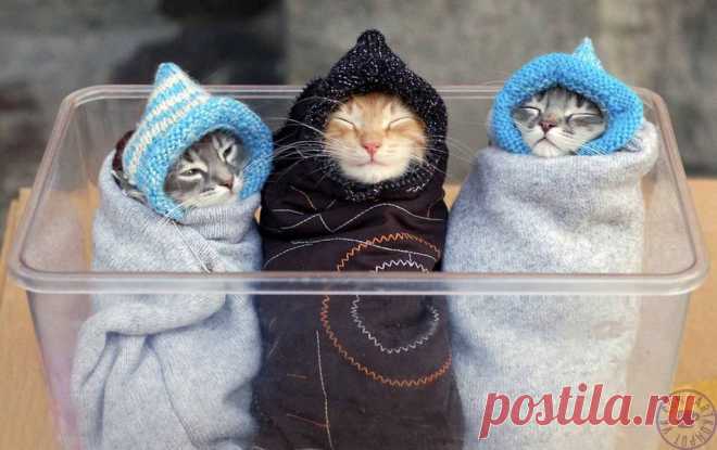 PnNOTjSNEYo.jpg (954×600)