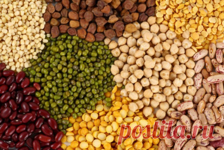 Основные источники белка в питании: список продуктов