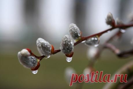 С весной всех, с романтикой, любви вам и счастья, мои дорогие ...