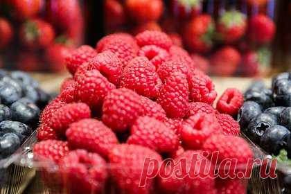 Россиянам рассказали о полезных свойствах малины и смородины. Некоторые ягоды могут служить основой модной на данный момент противовоспалительной диеты. Суть в том, что в рацион вводятся продукты, например, черная смородина или малина, которые способны притормозить развитие воспалительного процесса в организме, рассказала «Известиям» кандидат медицинских наук Татьяна Солнцева.