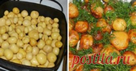 Что приготовить из молодого картофеля