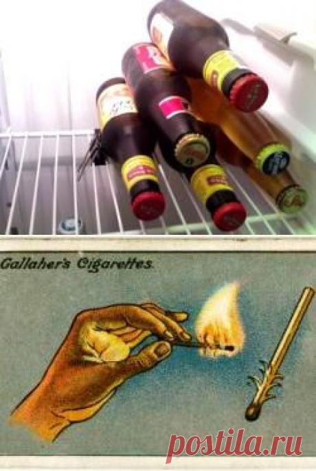 (+1) тема - Ложные сведения на этикетках продуктов питания | МОЙ ДОМ