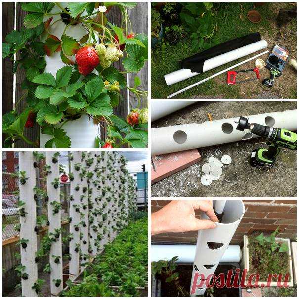Wonderful DIY Vertical PVC Planter