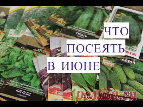 Что Посеять В Июне. Сорта Укропа, Сорта Огурцов и многое другое.