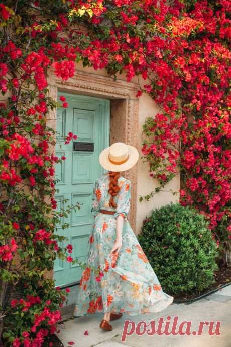 Blossom Hunting