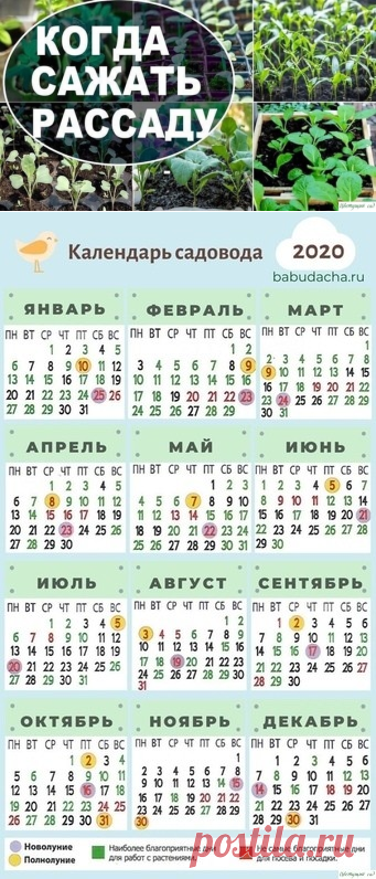 ЛУННЫЙ ПОСЕВНОЙ КАЛЕНДАРЬ 2020