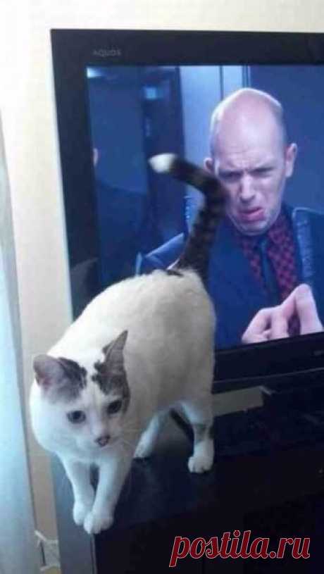 епе