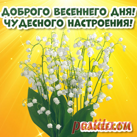 Хорошего, доброго весеннего дня! Открытки, картинки с пожеланиями! Открытка, картинка с подснежниками! Обожаю...  Самые хорошие пожелания в этот день! Сегодня, в день 8 марта!
Картинка, открытка с надписью! Доброго дня, прекрасного настроения, улыбок, радости и счастья! 
С праздником весны, очарования и красоты! Пусть сегодня сбудутся все Ваши мечты!
Открытка с красивыми тюльпанами! С праздником!
Пусть сегодня все цветы мира будут у Ваших ног!