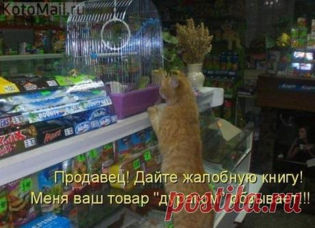 Дайте жалобную книгу
