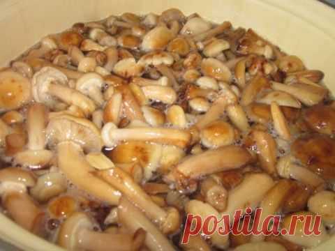 Без заголовка