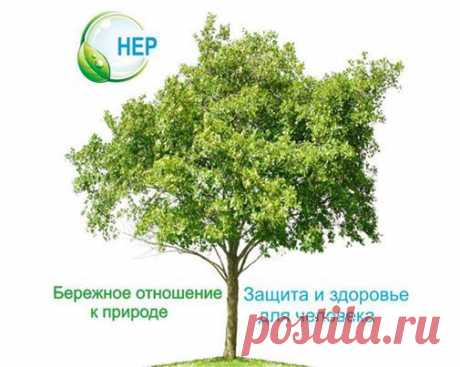Atlantis Group Products