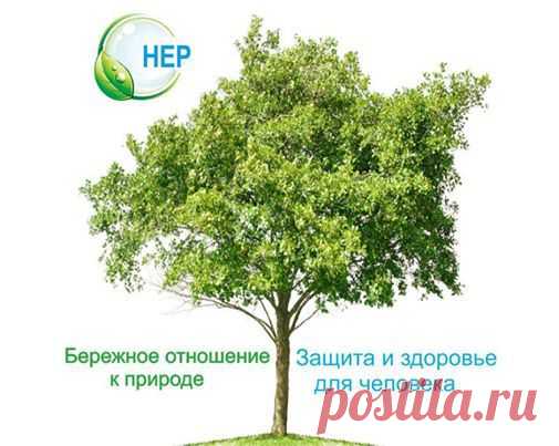 Atlantis Group Products