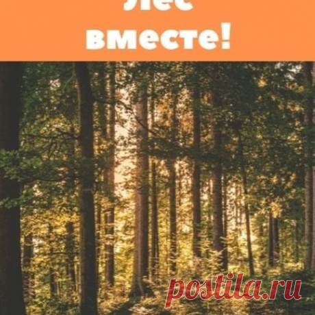 🔺Новое видео на канале Дом 49 Мытищи. Ссылка в профиле 👆

Мария Тябут, активистка г.Мытищи и председатель ТОС Спутник. Спасём Челюскинский лес вместе!

✔Челюскинский лес, занимающий около 100 га и расположенный на территории санатория «Подлипки» является единственным лесным массивом для нескольких тысяч жителей, проживающих в близлежащих населённых пунктах (Строитель и Челюскинский). Два года назад этот кардиологический санаторий, имеющий 80-летнюю историю, был продан в ...