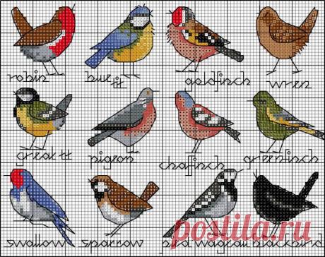 Gallery.ru / Фото #107 - В основном птицы_3/Freebies - Jozephina