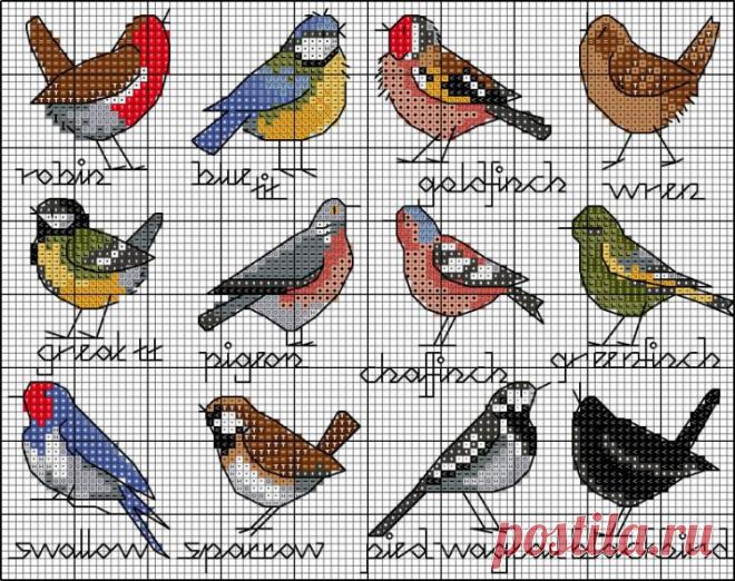 Gallery.ru / Фото #107 - В основном птицы_3/Freebies - Jozephina