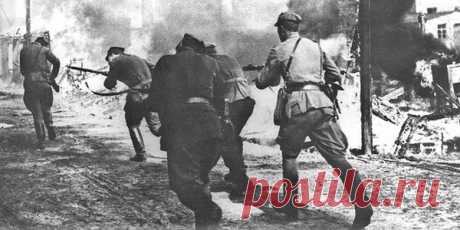 «Войско польско Берлин брало, а российско помогало…». Как поляки штурмовали Берлин | Блог Valerongrach-а | Яндекс Дзен