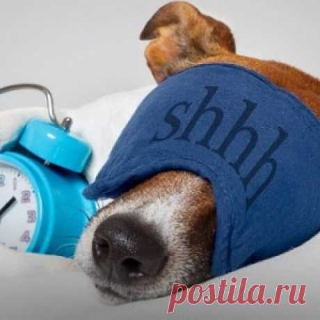 Во сколько нужно ложиться спать, чтобы просыпаться бодрым? Эта таблица — настоящее открытие!