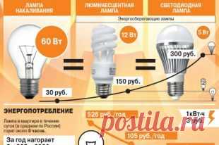 Какие лампы самые экономные? Инфографика