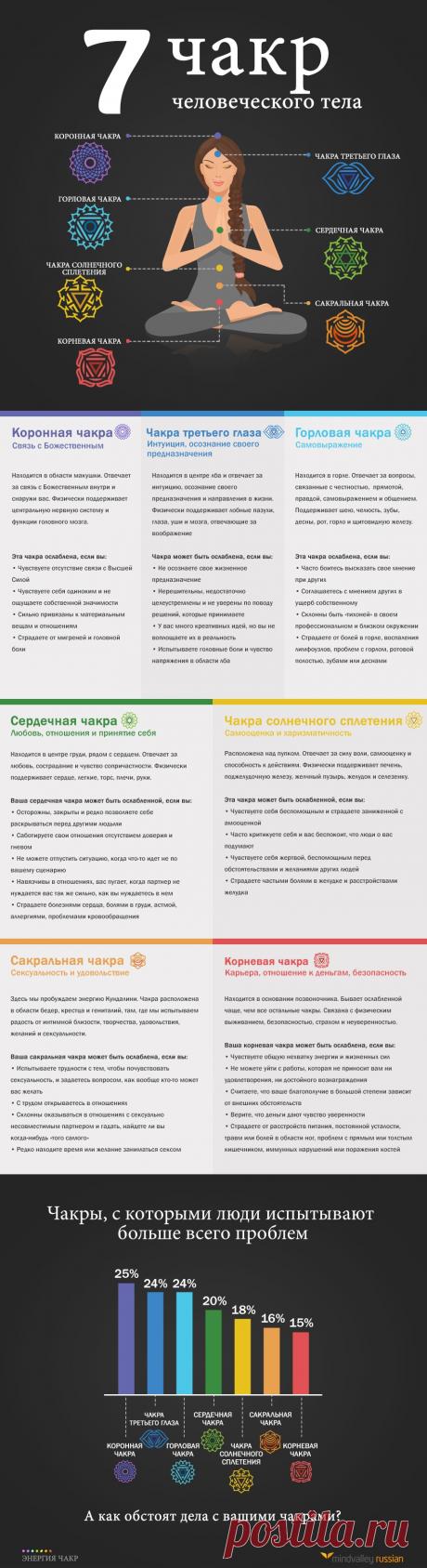 Семь чакр человеческого тела