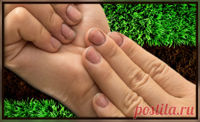 Как легко и быстро очистить руки и ногти от грязи после огорода. Самые простые способы  👍
Как очистить руки после огорода
Как легко и быстро удалить грязь с рук и ногтей
Как избавиться от запаха пота в обуви: эффективные способы
Как почистить обувь от запаха ног и пота
Как убрать запах пота из обуви навсегда
Как быстро и просто избавиться от неприятного запаха в обуви
Как самостоятельно избавиться от пота и запаха в кроссовках
Как удалить запах пота с подошвы кроссовок
Как избавится от запаха …