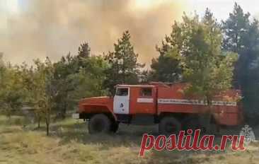 Площадь лесного пожара в Ростовской области выросла до 117 га. Угрозы населенным пунктам нет