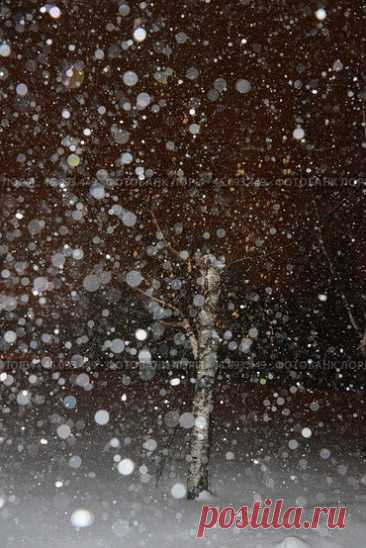 Winter night snowfall, nature background Стоковое фото, фотограф Ilaronsia / Фотобанк Лори