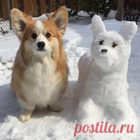 (98) Facebook